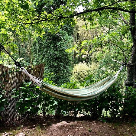 Quinta Lamosa Agroturismo Аркос де Валдевез Екстериор снимка