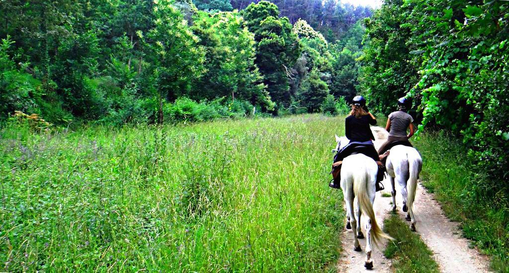 Quinta Lamosa Agroturismo Аркос де Валдевез Екстериор снимка